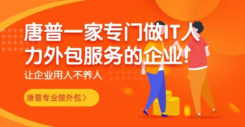 影響軟件開發(fā)人員外包價格的關(guān)鍵因素